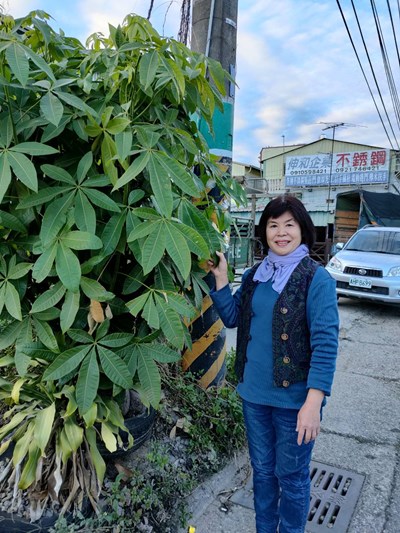 新社區調解會涂貞鳳調解委員